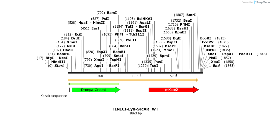 509875_map