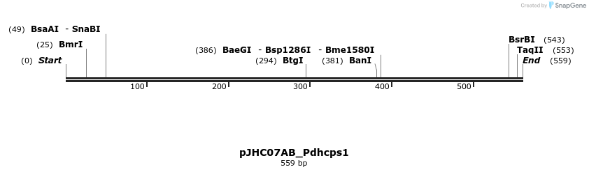 509880_map