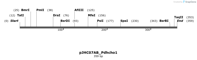 509883_map