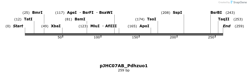 509888_map