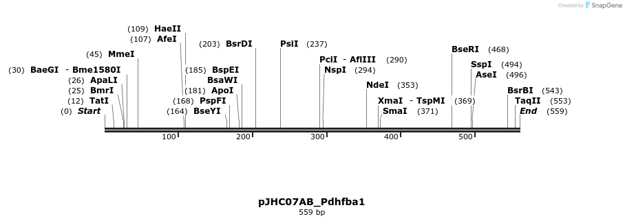 509892_map