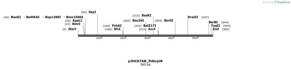 509893_map