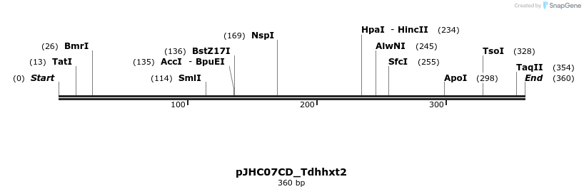 509902_map