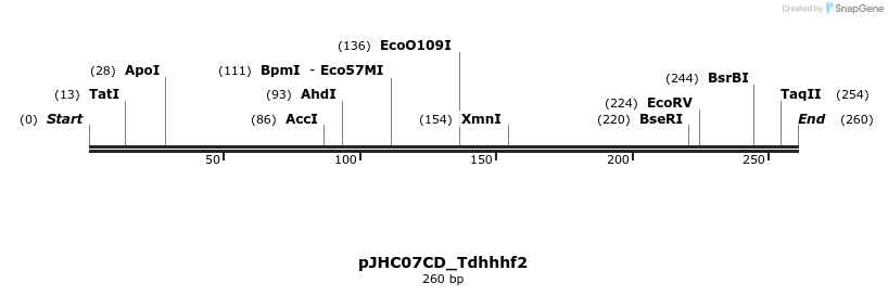 509906_map