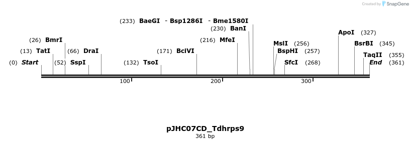 509908_map