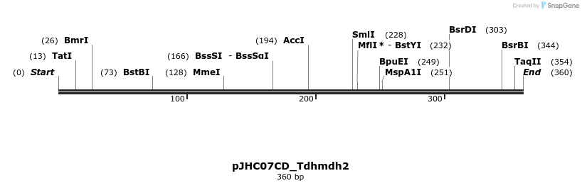 509909_map
