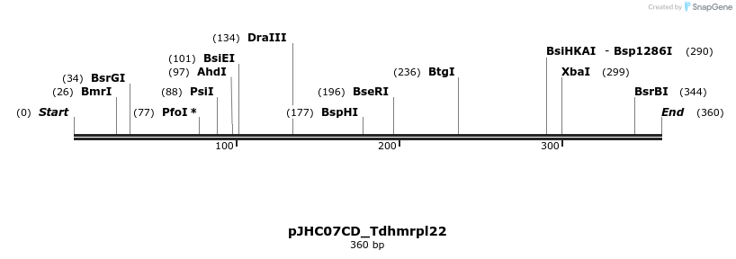 509910_map