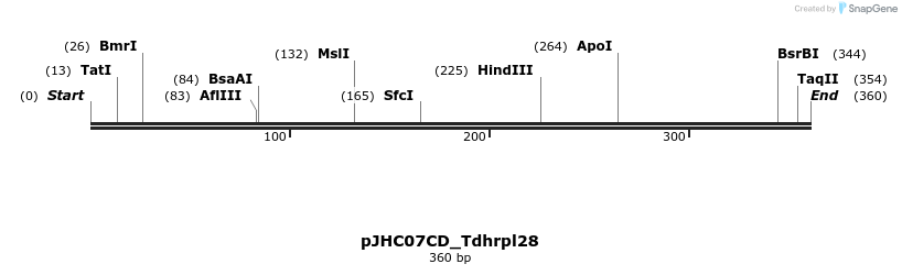 509915_map