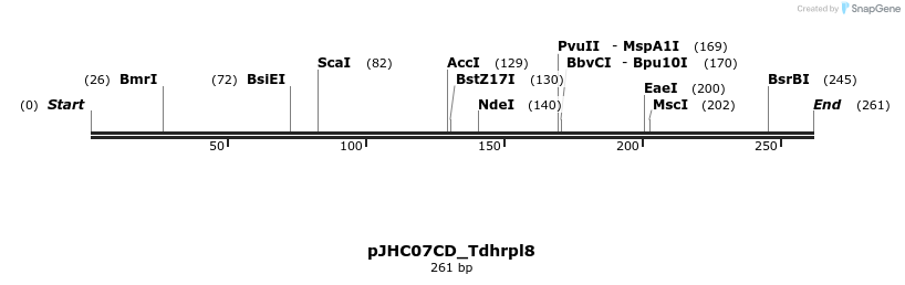 509916_map