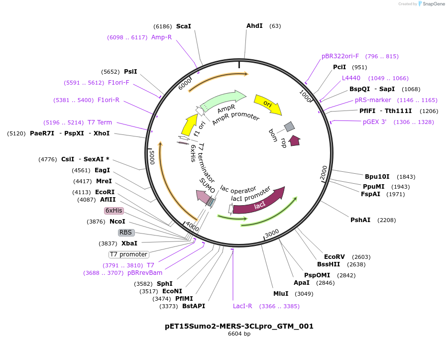 509982_map