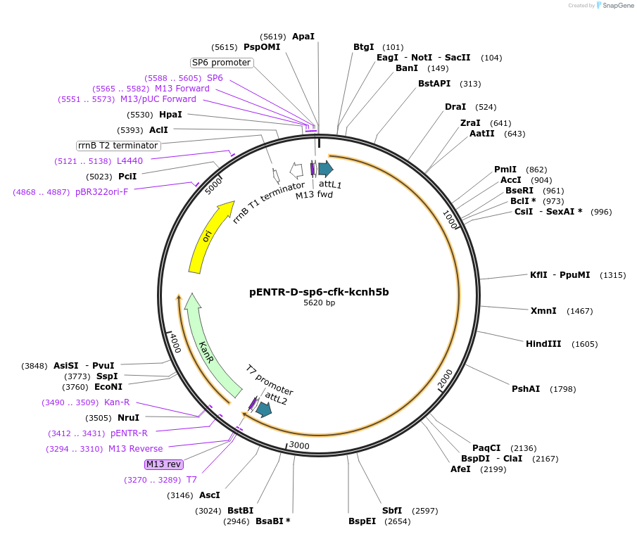 510011_map