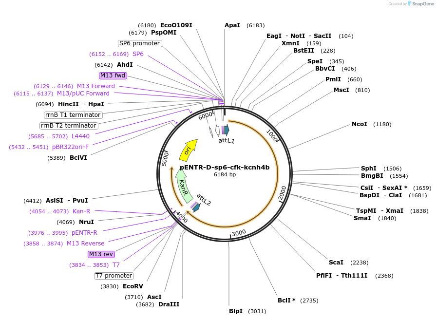 510019_map