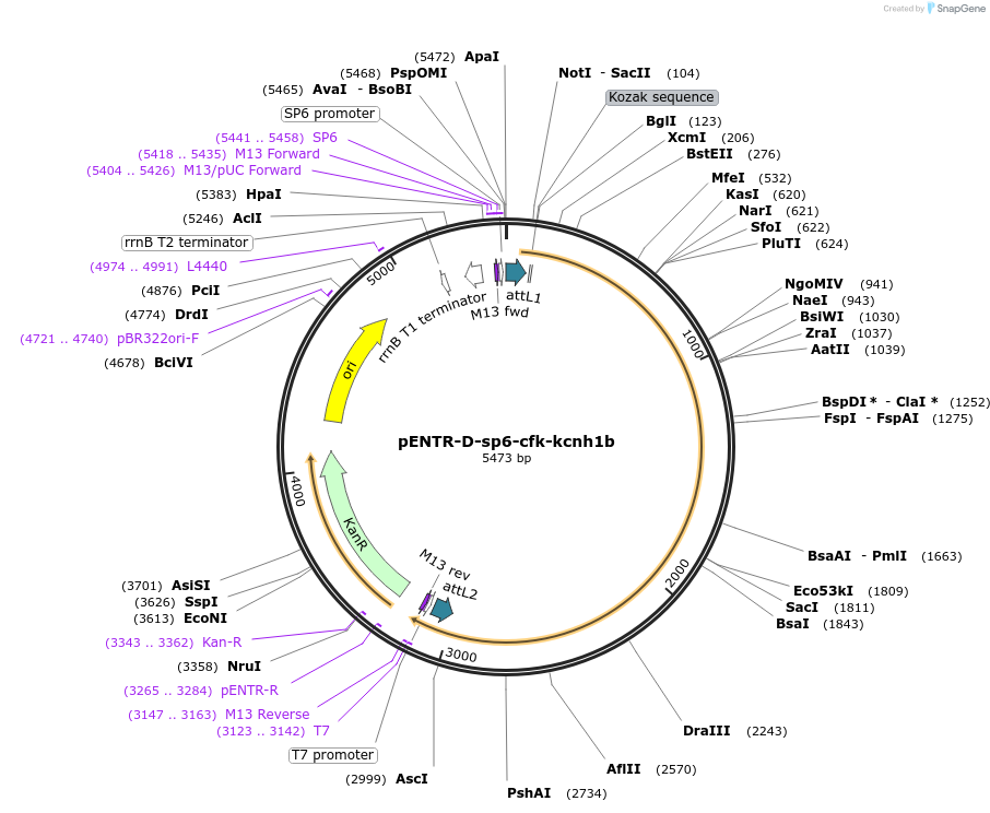 510021_map