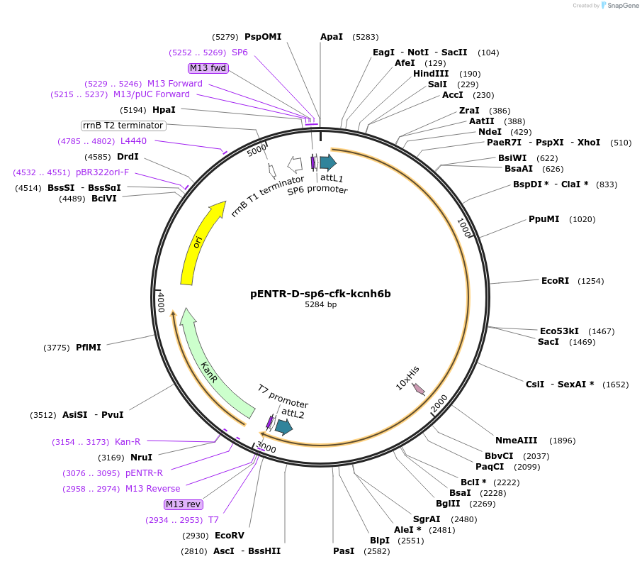 510022_map