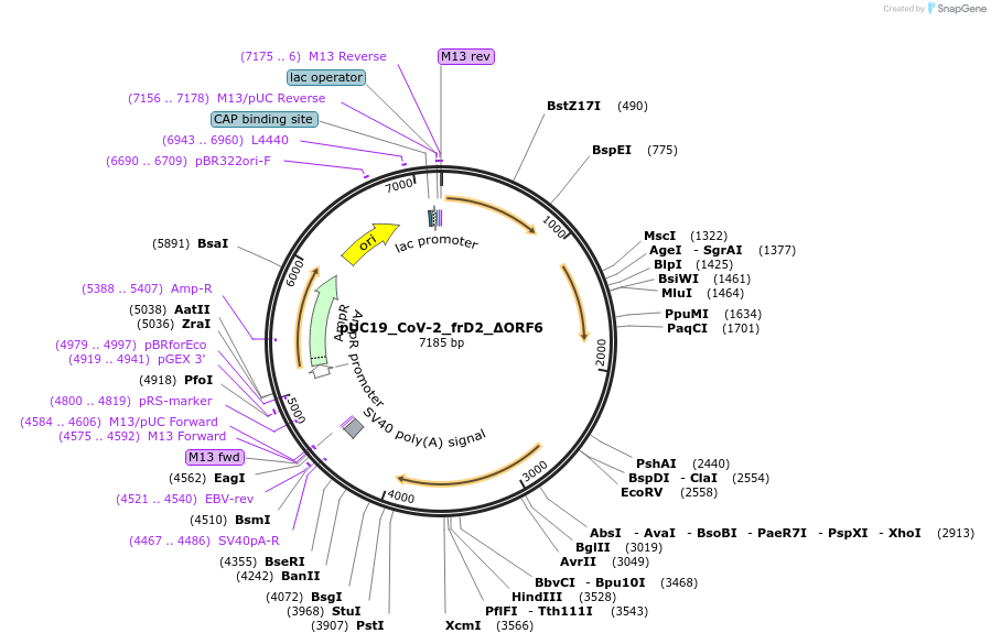 510205_map