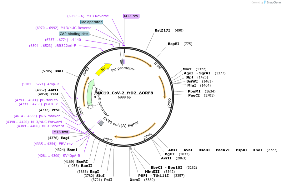 510208_map