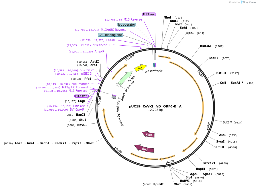 510210_map