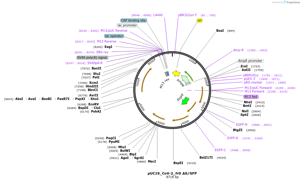510212_map