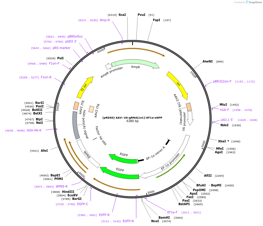 510213_map