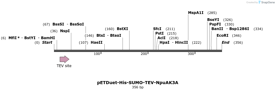 510318_map