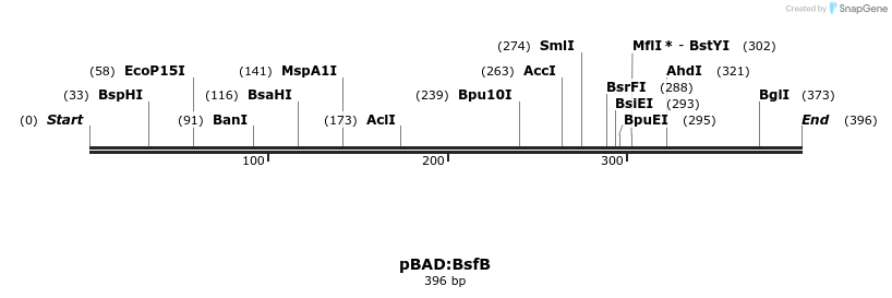510341_map