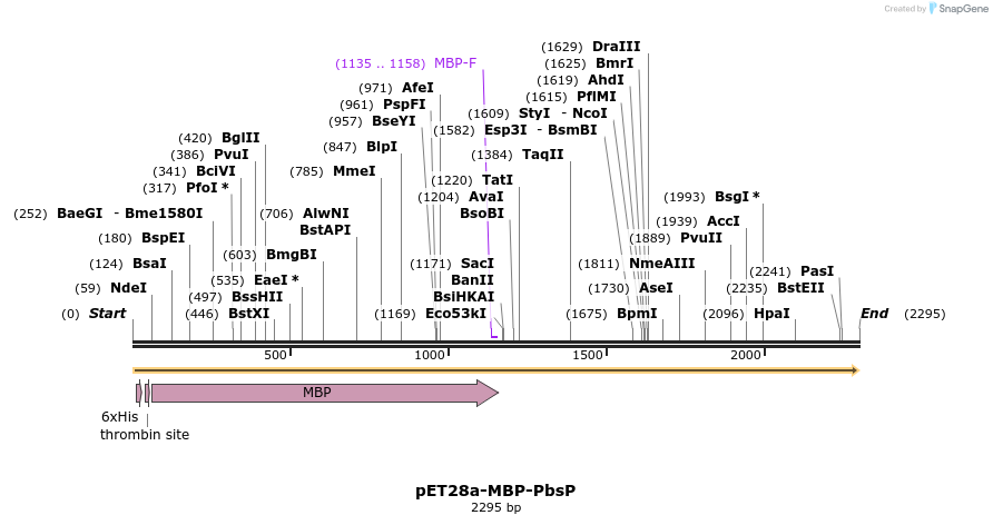 510350_map