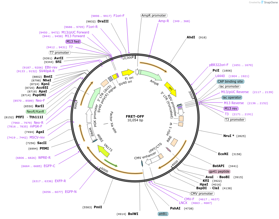 510613_map