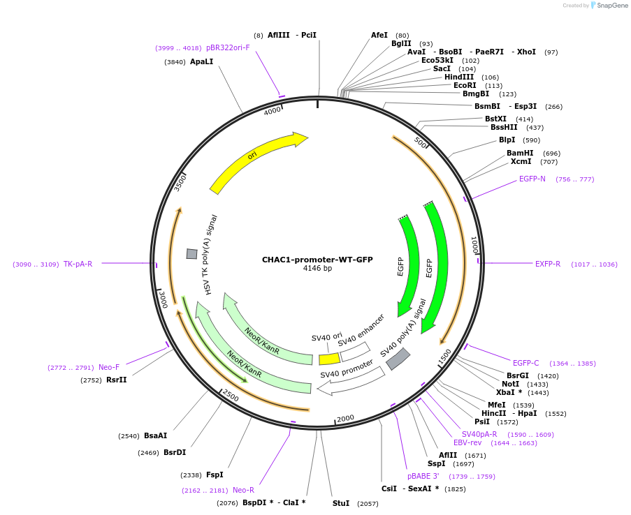 510637_map