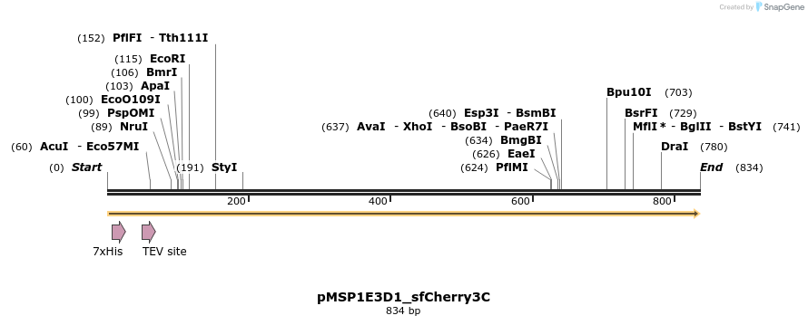 511002_map