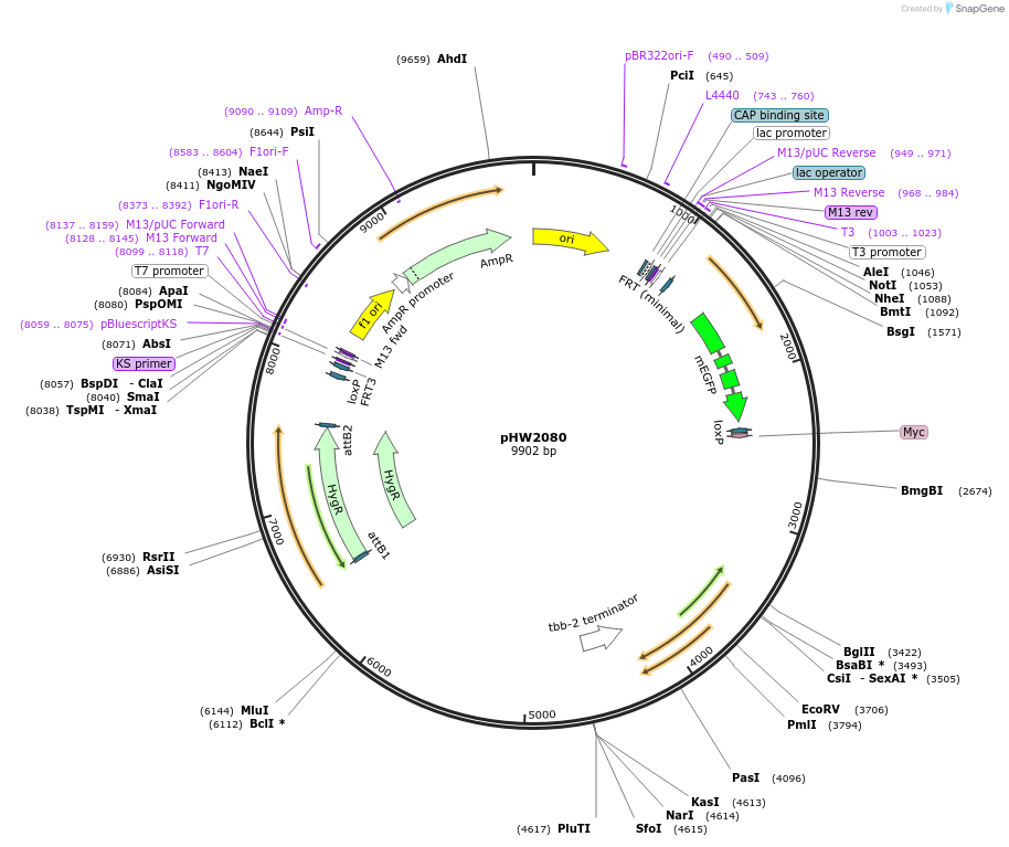 511476_map