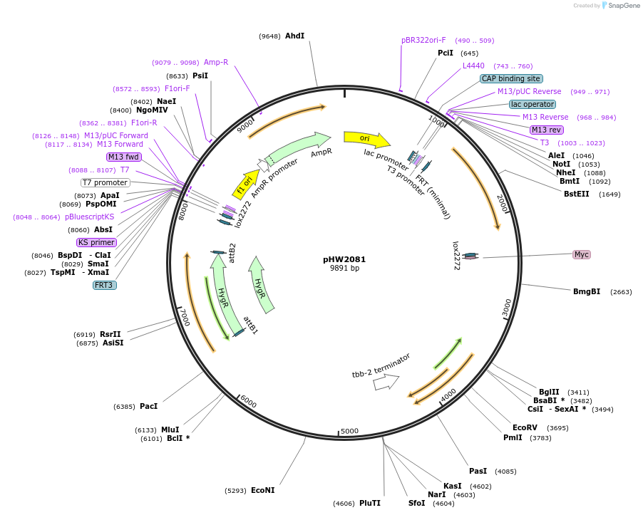 511485_map
