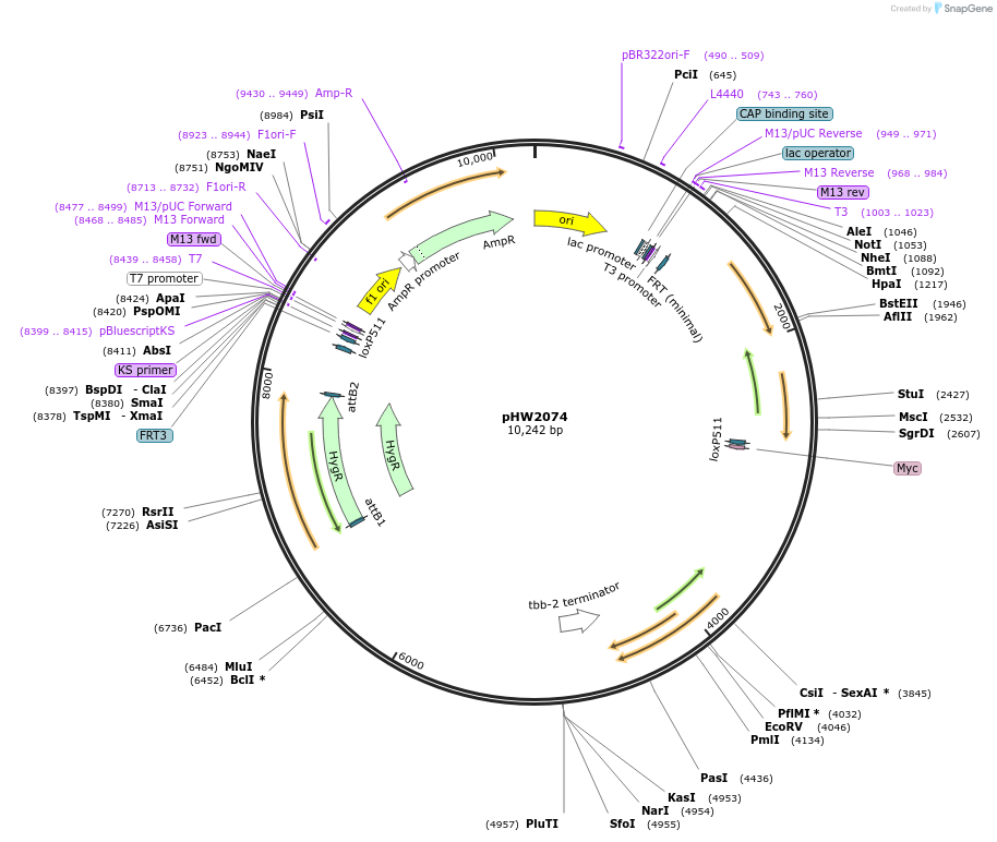 511491_map