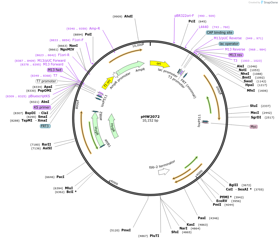 511494_map