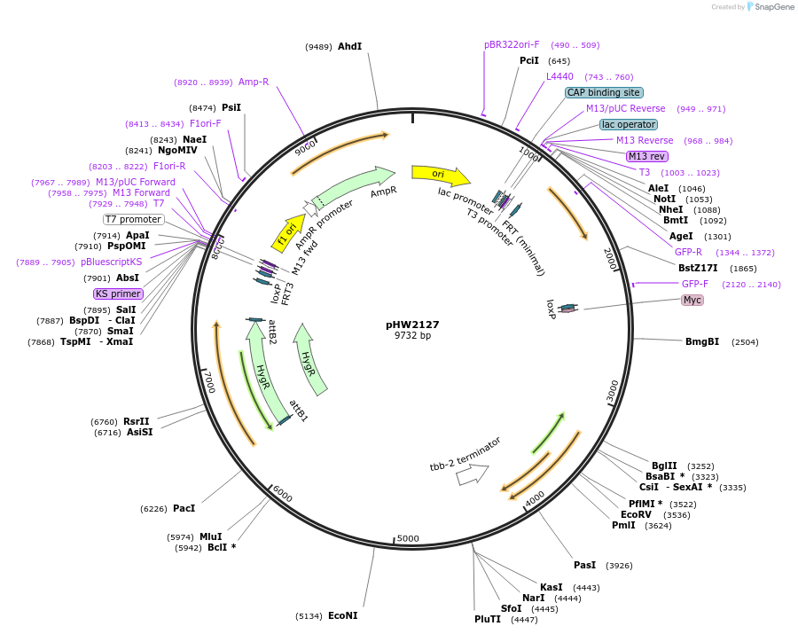 511501_map
