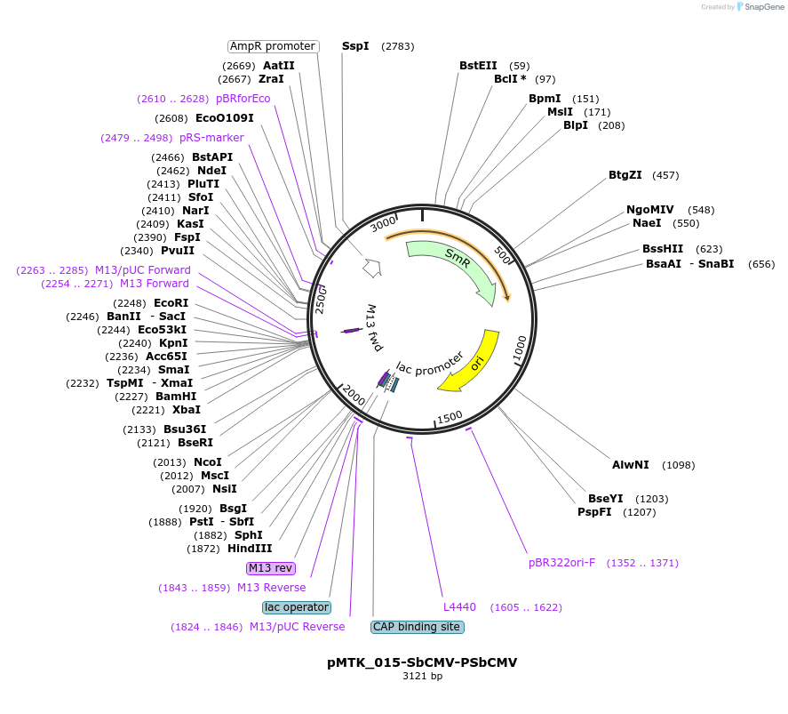 511708_map