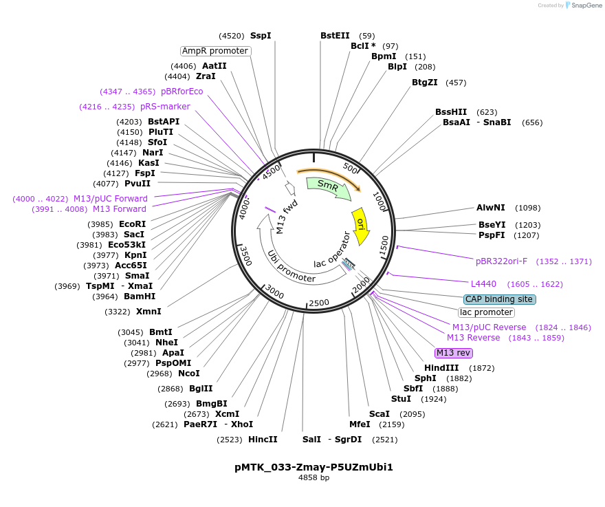511924_map