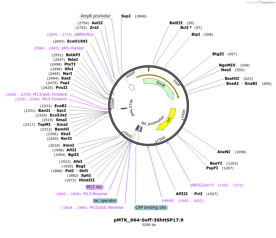511997_map