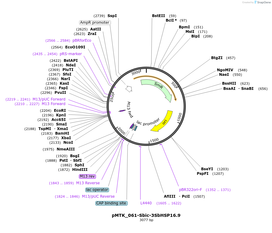 512039_map