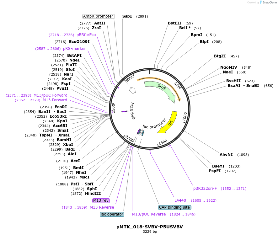 512041_map