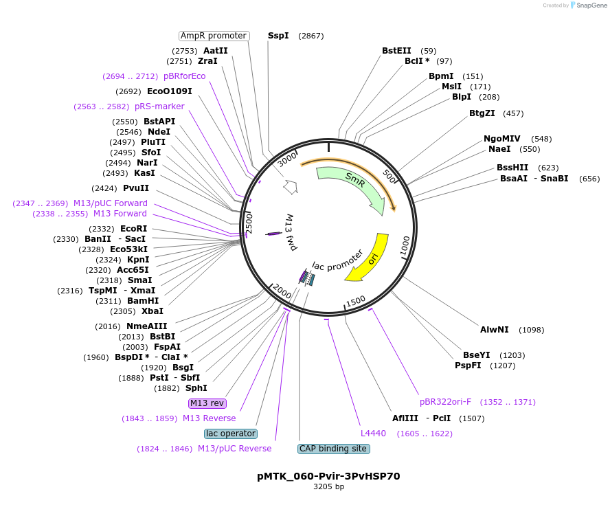 512045_map
