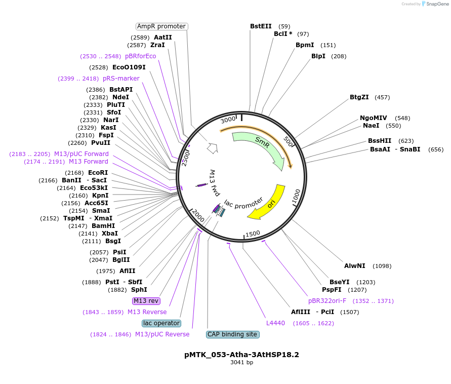 512047_map