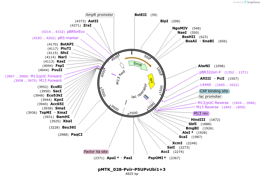 512067_map