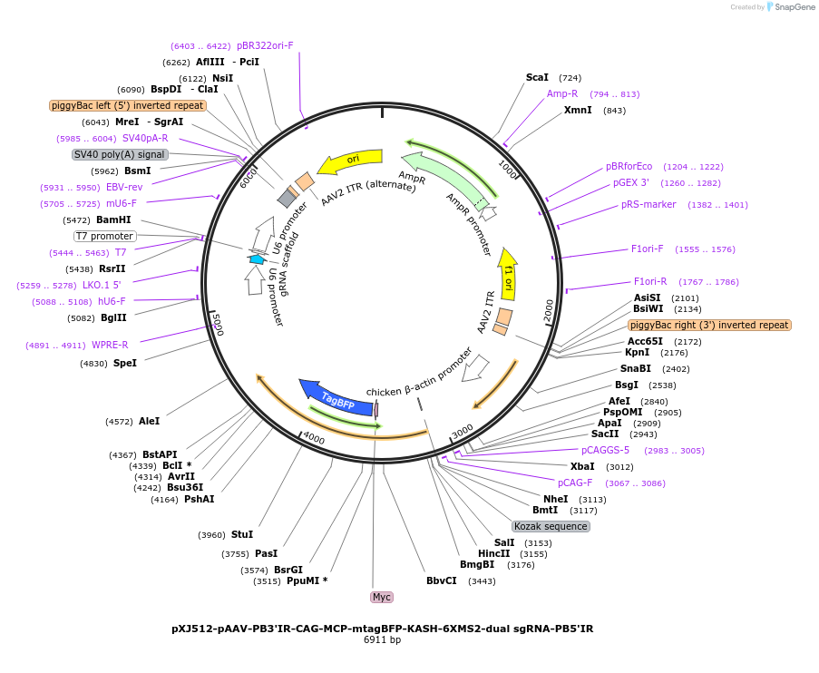 512130_map