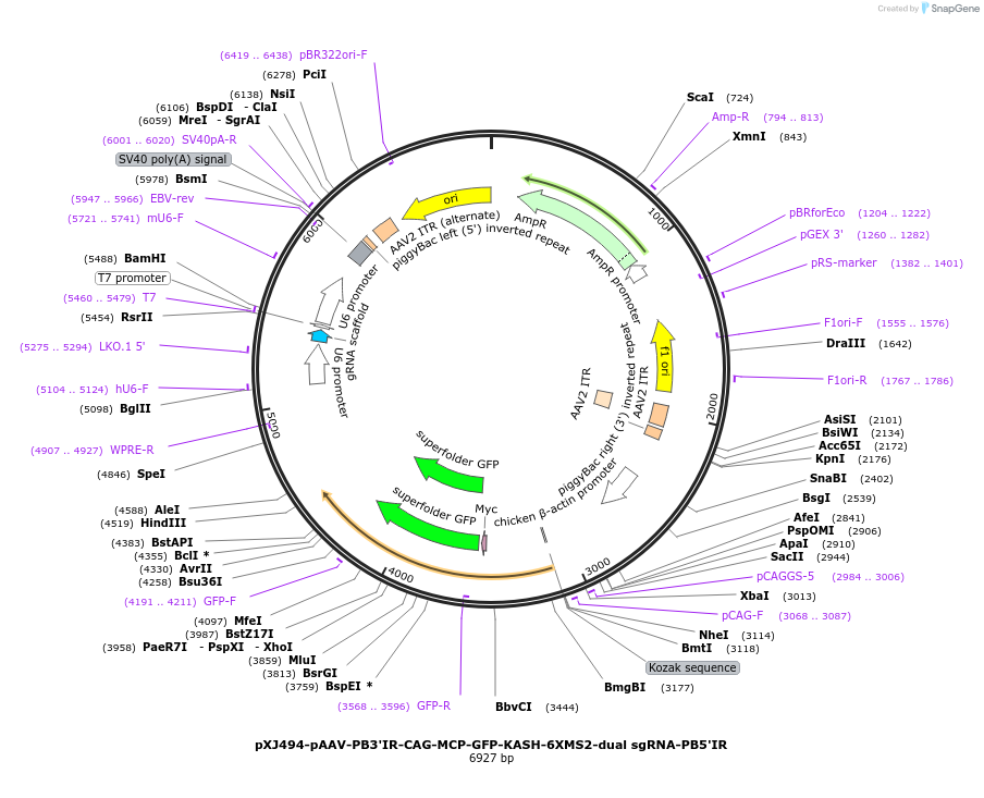 512131_map