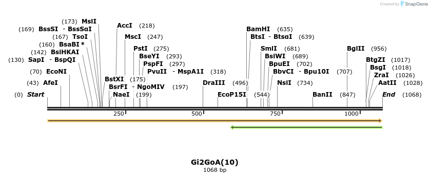 512448_map