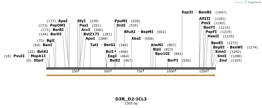 512458_map