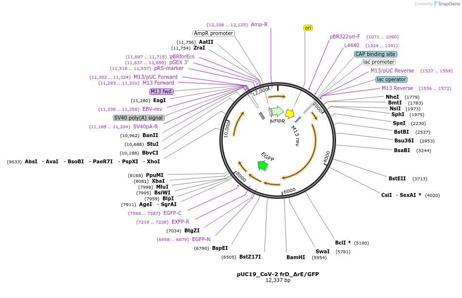 512476_map