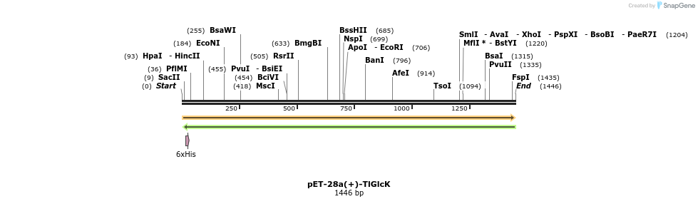 512961_map