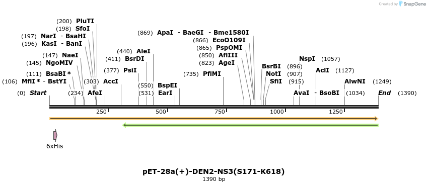512964_map