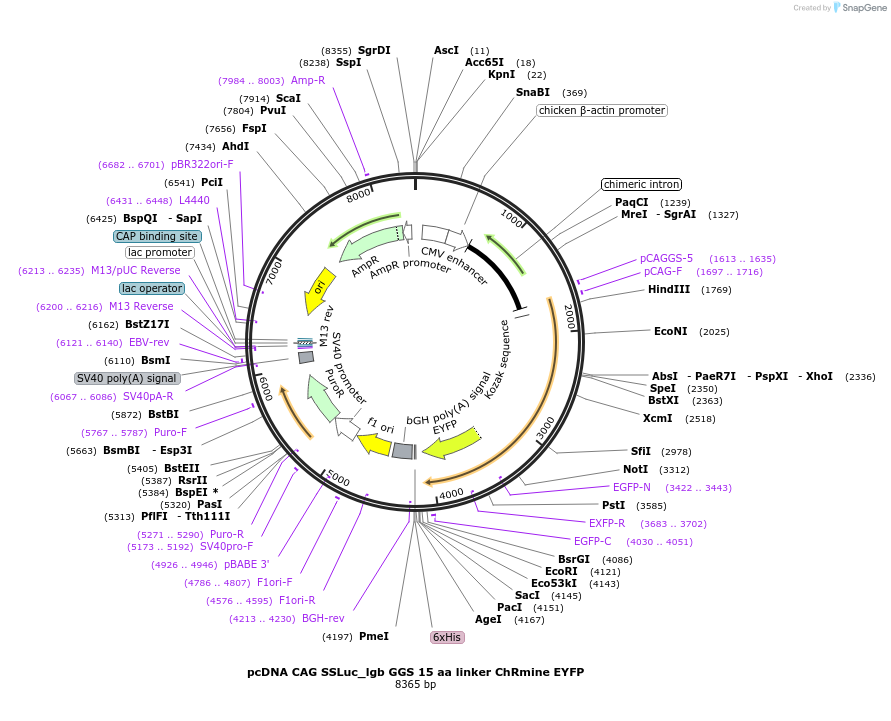 513201_map